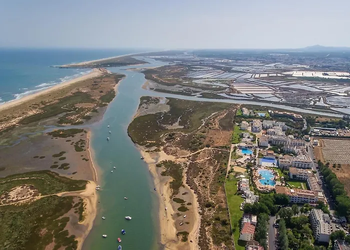 Sunny Golden 1bdr W & Pool Access Included