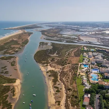 Sunny Golden 1bdr W & Pool Access Included